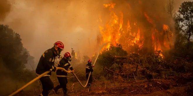 فرق إطفاء من أنحاء أوروبا تشارك في إخماد حرائق غابات فرنسا
