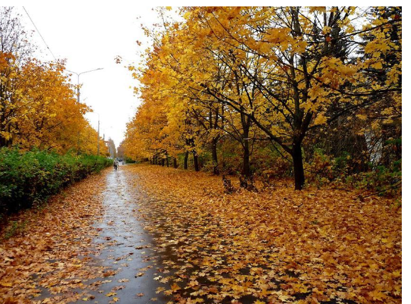 للاردنيين ... متى يبدأ فصل الخريف 2022؟