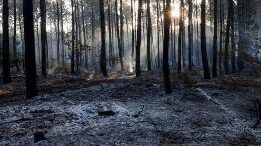 تراجع الحرائق في فرنسا مع انحسار موجة الحر وتوقع هطول أمطار