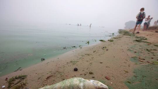 بولندا تعلن عن مكافأة لمن يساعد في العثور على المذنبين في تسميم نهر أودر