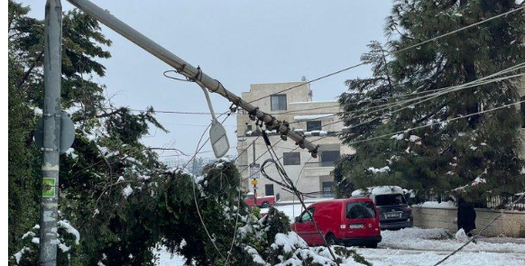 اتفاقية للحد من انقطاع الكهرباء بسبب سقوط أشجار بالاردن