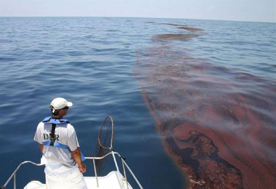 مدير الهيئة البحرية : منع السفينة التي تسببت بتسرب الزيت من السفر لحين اكتمال التحقيقات