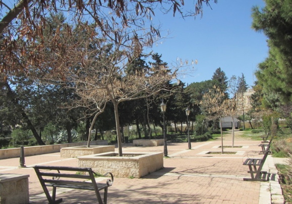 مسودة نظام: تغريم المعتدين على الغابات والحدائق العامة (تفاصيل)