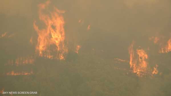 الجزائر.. السيطرة الكاملة على حرائق الغابات