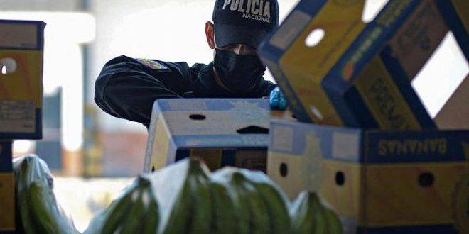 ضبط 3.2 أطنان من الكوكايين في الإكوادور نصفها متجه إلى أوروبا