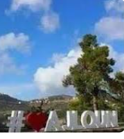 ورشة تثقيفية عن سرطان الثدي بعجلون