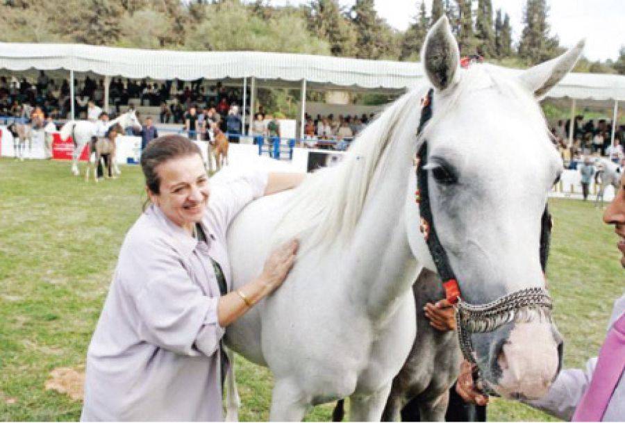 شمول  المؤتمر الدولي للخيول العربية الاصيلة بالرعاية الملكية