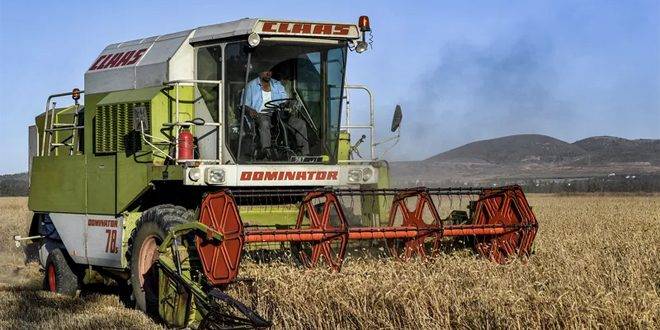 الهند تمنع تصدير القمح لتهدئة الأسعار محلياً