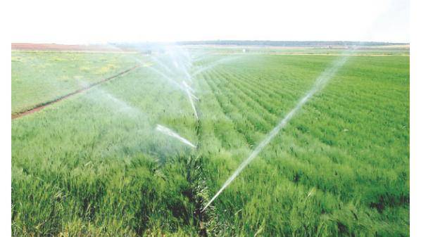 اتحاد المزارعين يُحذر من موجة الحر ويدعو لاستخدام المياه بشكل متواصل