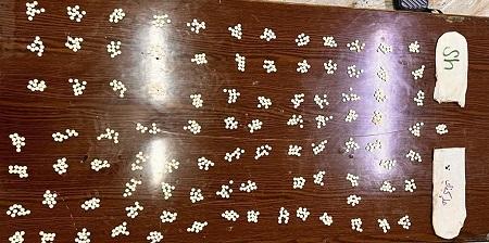 ضبط مروجين بحوزتهم كميات كبيرة من المواد المخدرة