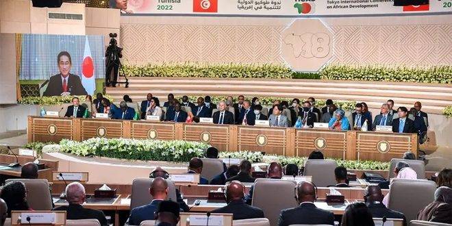 اليابان تتعهد بدعم حصول إفريقيا على مقعد دائم بمجلس الأمن الدولي