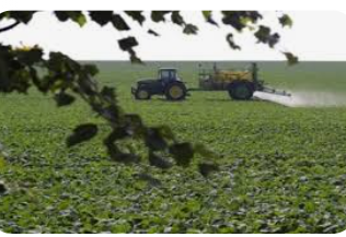 زراعة المفرق تدعو المزارعين لعدم رش وتسميد المزروعات خلال موجة الحر