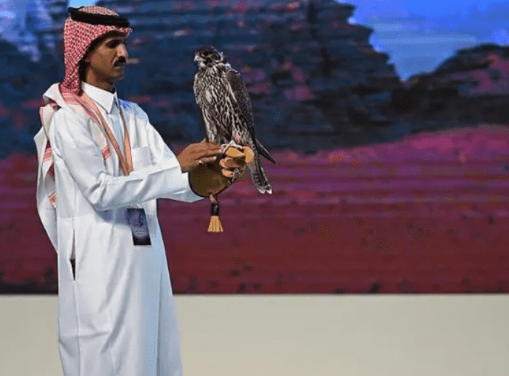 بيع صقرين بـ71 ألف ريال في المزاد الدولي للصقور بالرياض