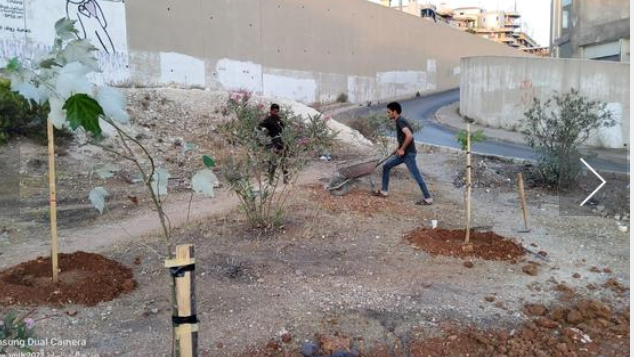 شاب في السلط يؤهل جزيرة وسطية ويزرعها على نفقته الخاصة