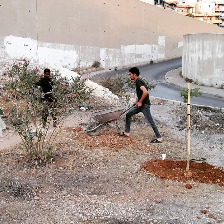 شاب يؤهل جزيرة وسطية في السلط على نفقته الخاصة