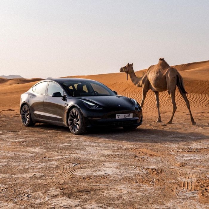 تسلا تعلن إرسال سياراتها إلى صحراء دبي