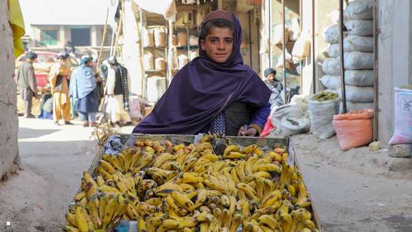 تقرير دولي صادم بشأن أطفال المدارس.. الأرقام كارثية