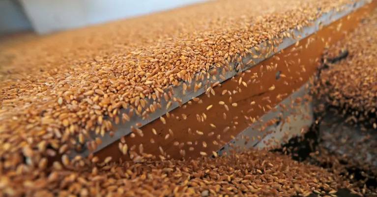 الفاو: القلق حول الأمن الغذائي مستمر رغم تراجع الأسعار