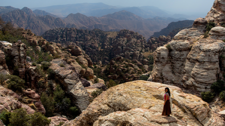 انطلاق مؤتمر إعلان ضانا +20 الأربعاء المقبل