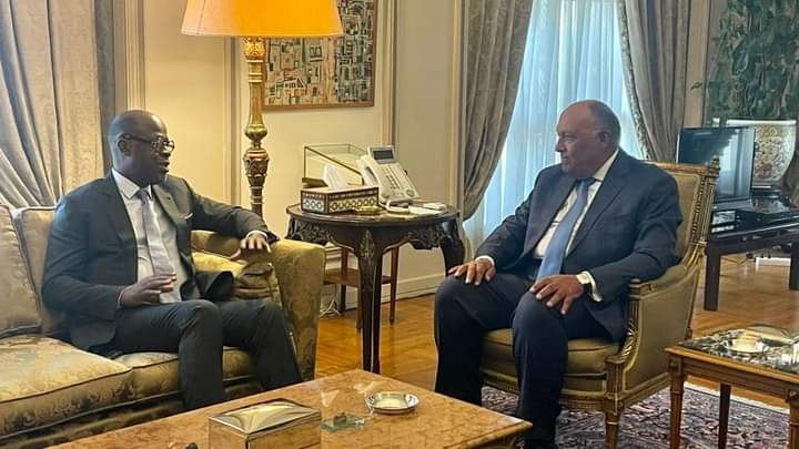 وزير الخارجية المصري يستقبل رئيس الدورة ١٥ لمؤتمر أطراف اتفاقية الأمم المتحدة لمكافحة التصحر