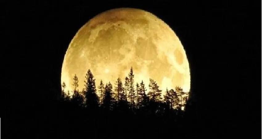 قمر الحصادين يضيء سماء المملكة السبت المقبل