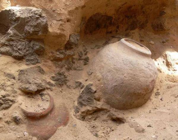 هل يحصل من يقدم الآثار للجهات الرسمية على نسبة؟