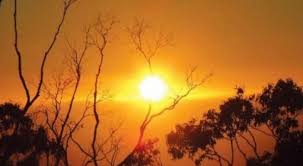 طقس صيفي اليوم وحار نسبيا غدا