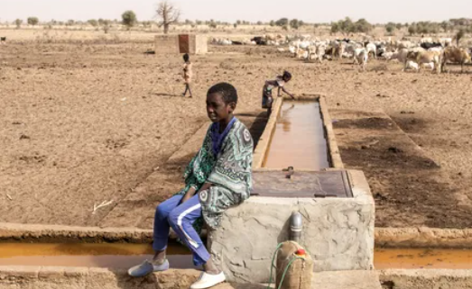 التغير المناخي يهدد إفريقيا.. خسائر قد تصل لـ 50 مليار دولار