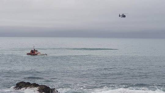 نيوزيلندا.. خمسة قتلى بعد اصطدام قارب بحوت