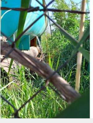 اربد : تساؤلات حول تدفق مياه من بئر سال للأراضي المجاورة والمياه سنعالج المشكلة