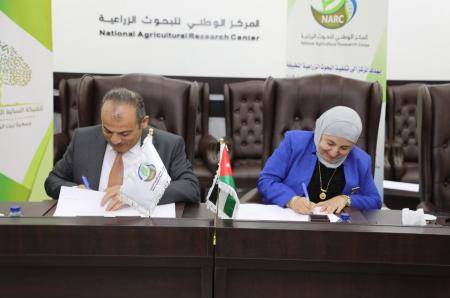 مذكرة تفاهم بين البحوث الزراعية والشبكة النسائية لزيت الزيتون