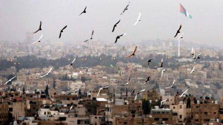 الأحد .. أجواء حارة نسبياً نهارا ومعتدلة ليلا