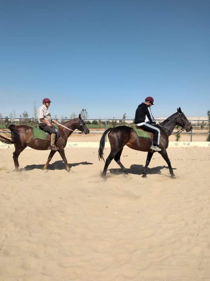 دورة فروسية لمصابين عسكريين من إقليم الوسط