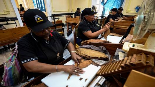 معمل سيجار كاسترو يحافظ على تقاليد الصناعة الكوبية الشهيرة