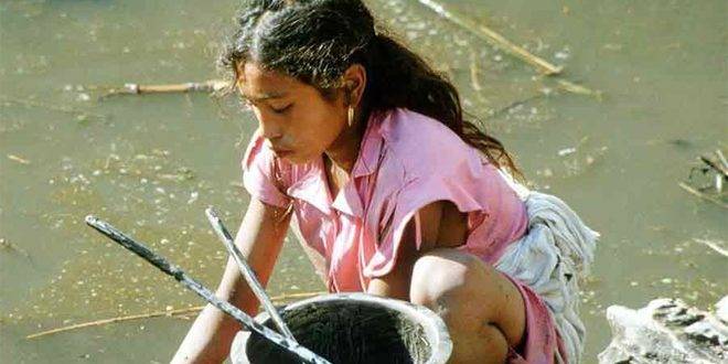 تقرير أممي: ارتفاع كبير بمعدل العمل والزواج القسريين في العالم