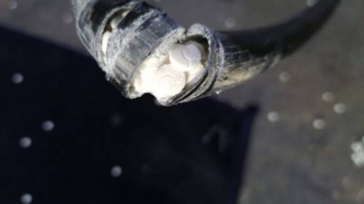 إدارة مكافحة المخدرات: علاج 622 شخصا في مراكز متخصصة العام الحالي