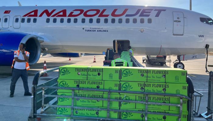 13 طن زهور لجنازة الملكة.. الطلب يقفز 90