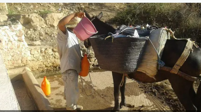 أزمة المياه في المغرب.. دعوات لحلول عاجلة