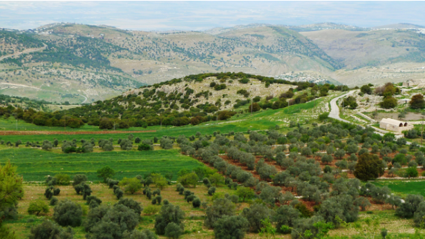 طقس مناسب لزيارة كل المناطق السياحية الأردنية غدا