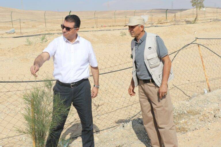 “الزراعة”: ضرورة الحيلولة دون توقف العمل بمشروع التحريج الصحراوي