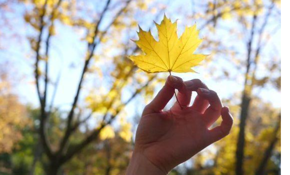 الجمعة بداية فصل الخريف بالعالم العربي