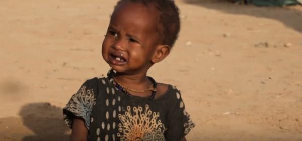 شخص في العالم يموت من الجوع كل أربع ثوان