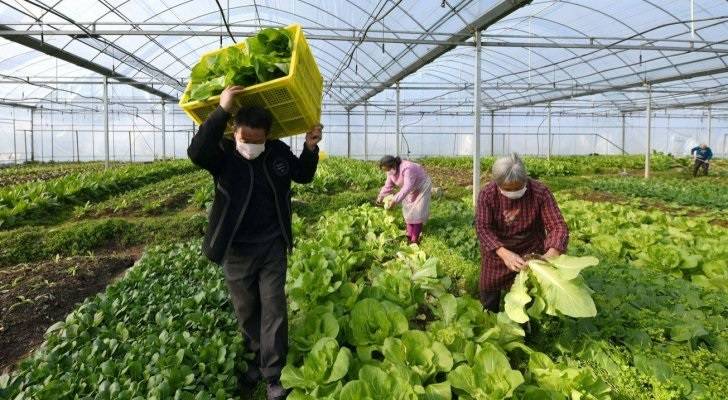 المرصد العمالي: الاقتصاد الأردني بحاجة إلى العديد من الخبرات والمهارات