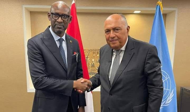 وزير الخارجية المصري يؤكد لوزير خارجية مالى حرص مصر لجهود إحلال السلام فى مالى