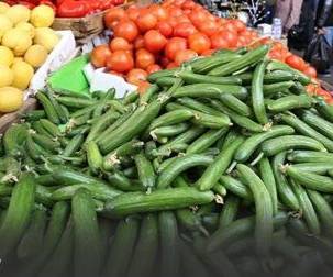 ارتفاع كيلو الخيار إلى 45 قرشا في السوق المركزي