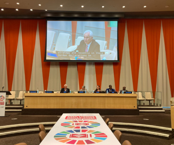 عويس: توفير بيئات تعليمية آمنة وصحية أولوية للأردن