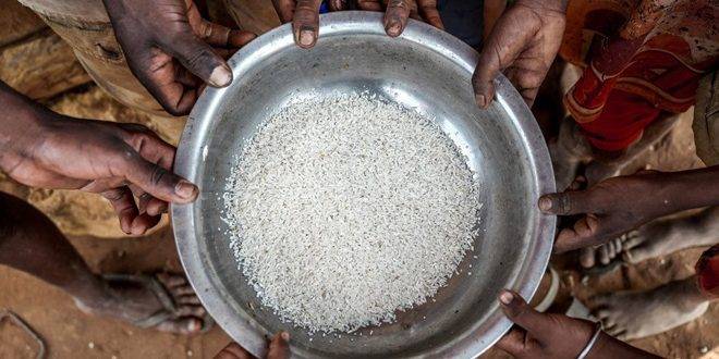 منظمتان أمميتان: مليون شخص تقريباً يواجهون المجاعة