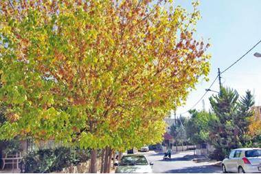 تفاصيل الحالة الجوية لفصل الخريف هذا العام