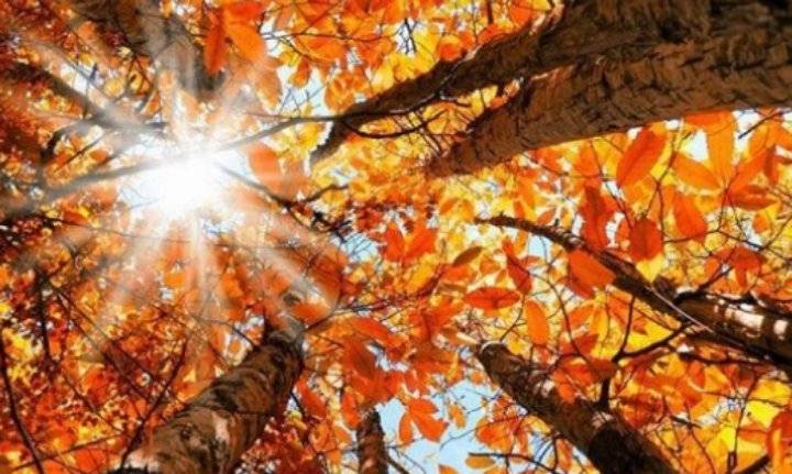 الاردن: طقس خريفي مستقر الاحد