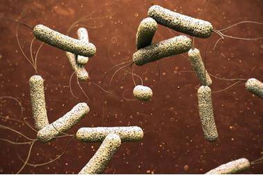 الصحة توضح حول أعراض الكوليرا وطرق الوقاية